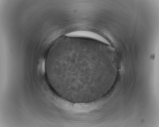 X0000091960022200709131236