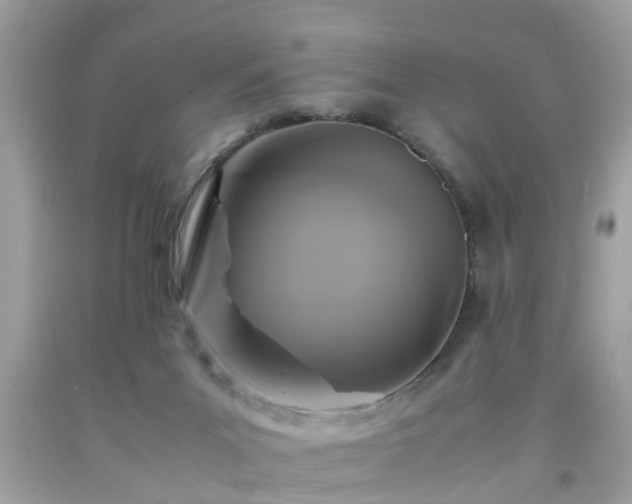 X0000091960023200709131236