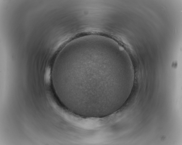 X0000091960024200709131236