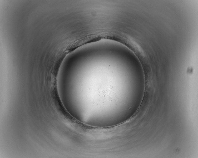 X0000091960025200709131236