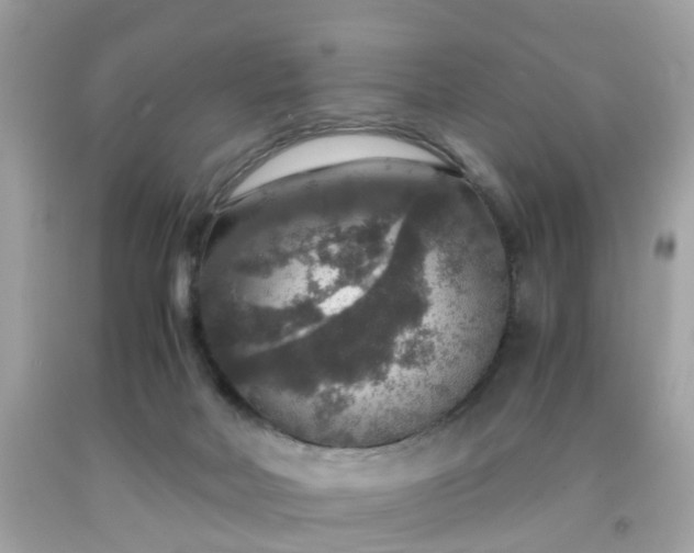 X0000091960026200709131236