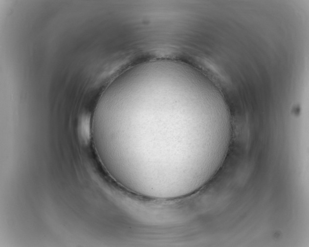 X0000091960028200709131236