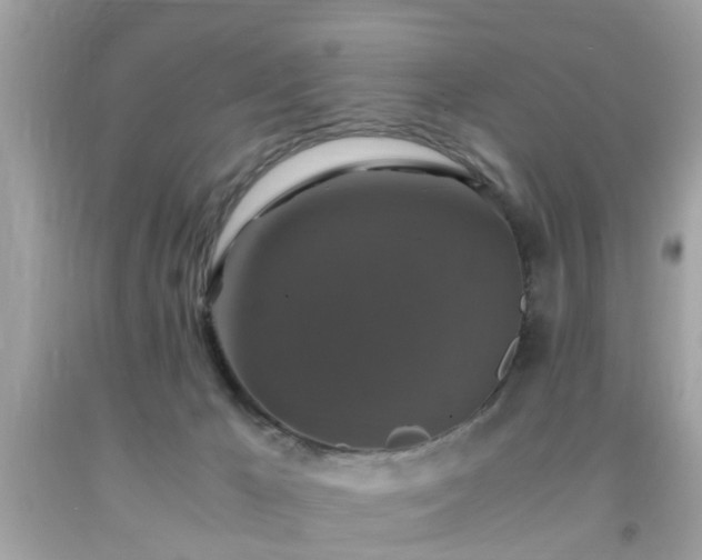 X0000091960029200709131236