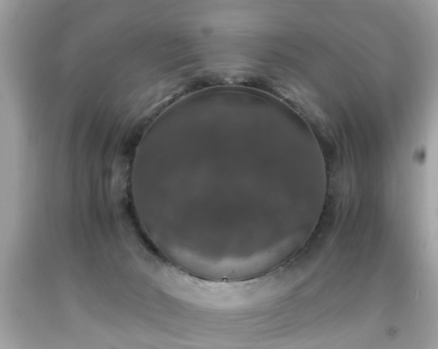 X0000091960030200709131236