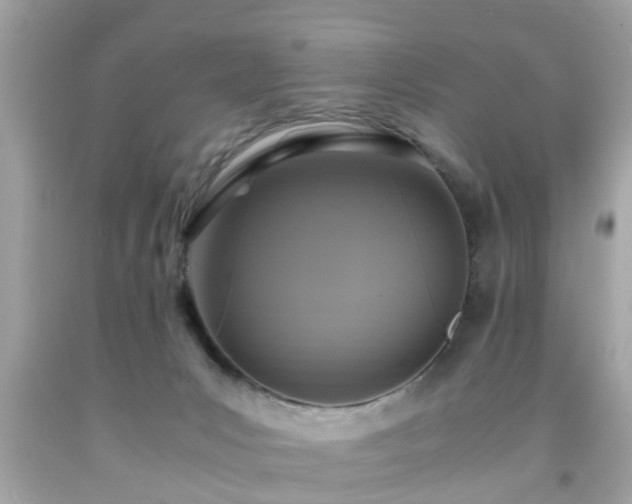 X0000091960031200709131236