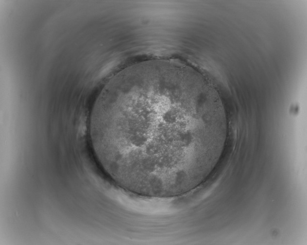 X0000091960032200709131236