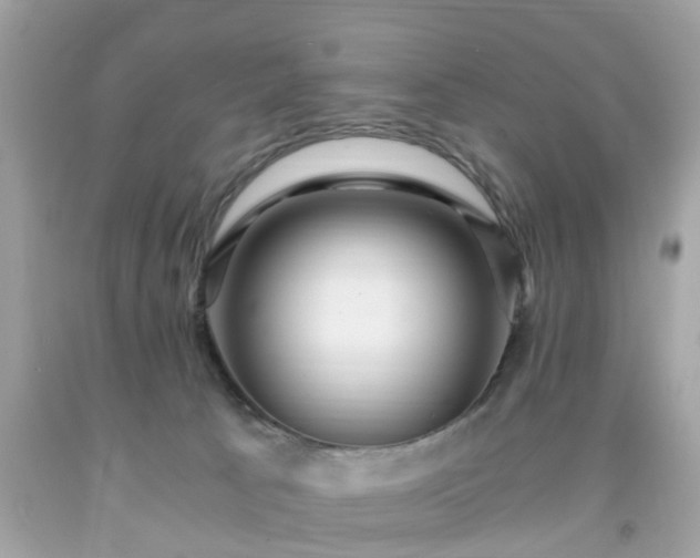 X0000091960033200709131236