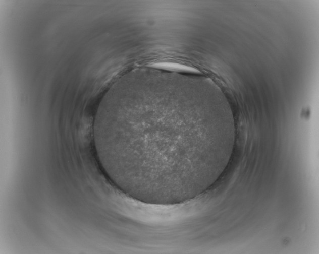 X0000091960034200709131236