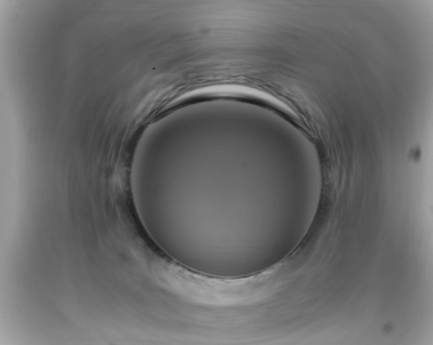 X0000091960035200709131236