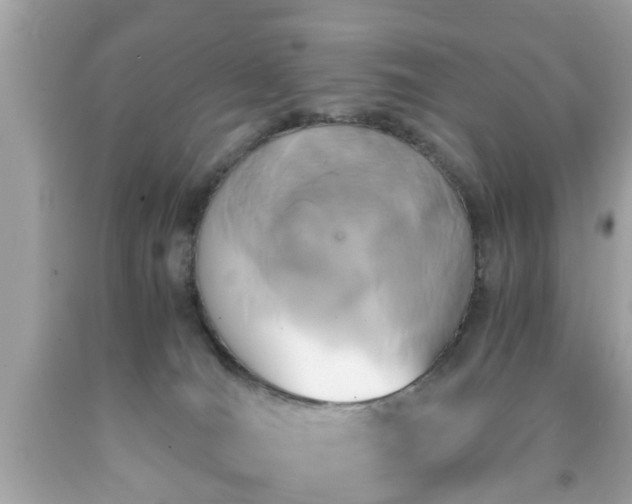 X0000091960036200709131236