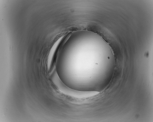 X0000091960037200709131236