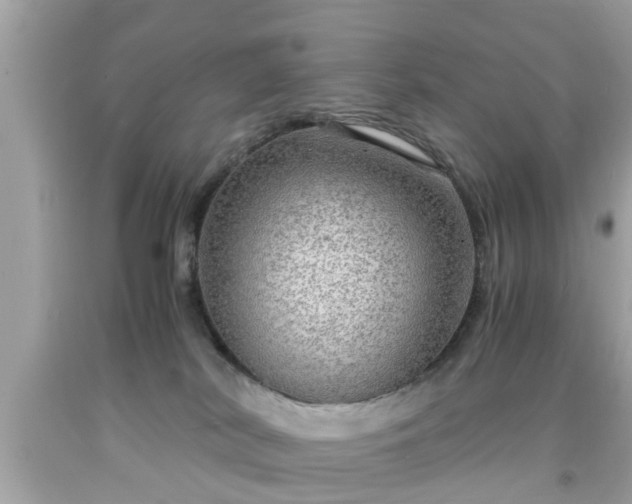 X0000091960038200709131236