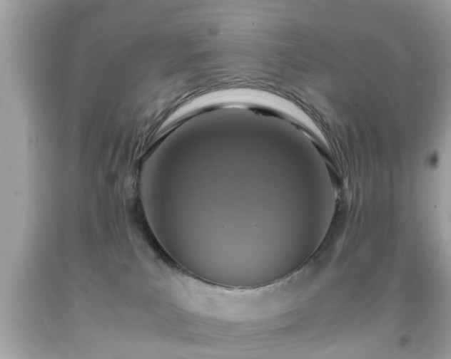 X0000091960039200709131236