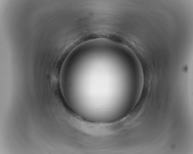 X0000091960040200709131236