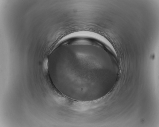 X0000091960041200709131236