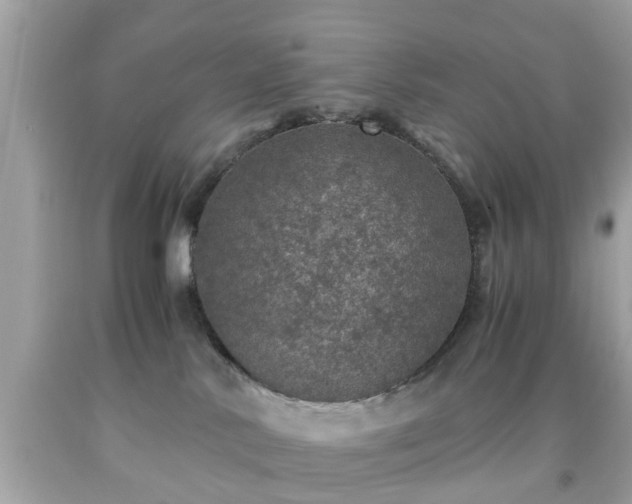 X0000091960042200709131236