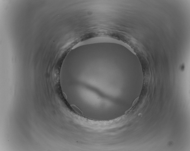 X0000091960043200709131236