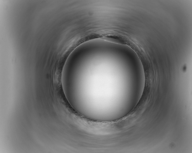 X0000091960044200709131236