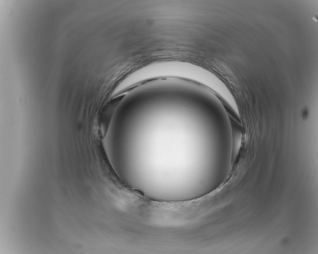 X0000091960045200709131236