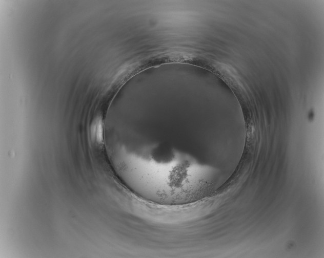 X0000091960046200709131236