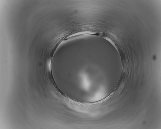 X0000091960047200709131236