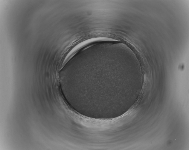 X0000091960048200709131236