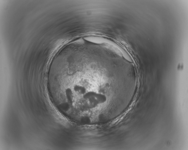 X0000091960049200709131235