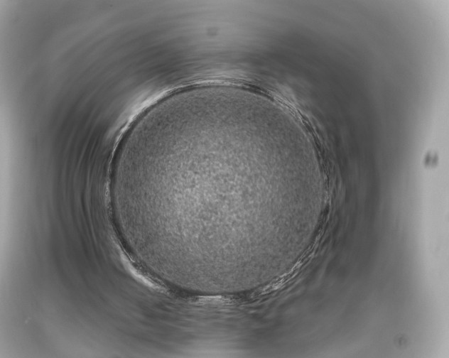 X0000091960050200709131235