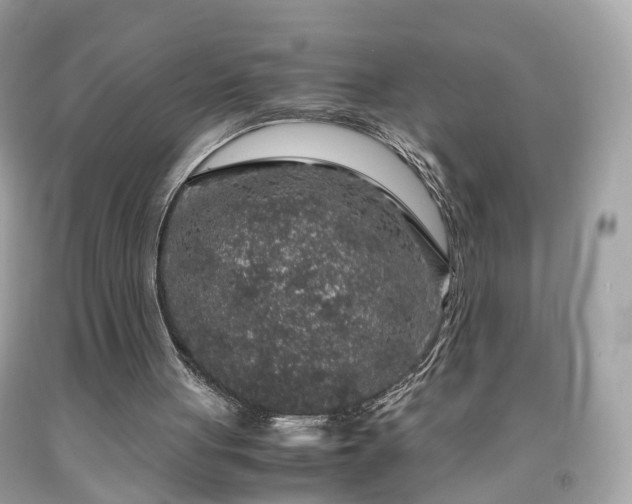 X0000091960051200709131235