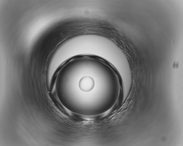 X0000091960052200709131235