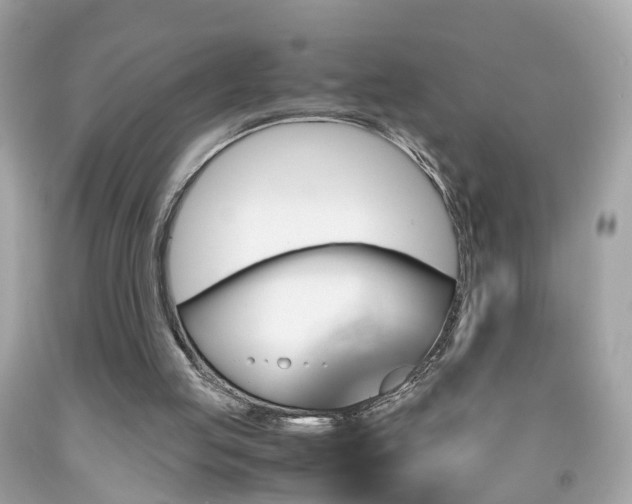 X0000091960053200709131235