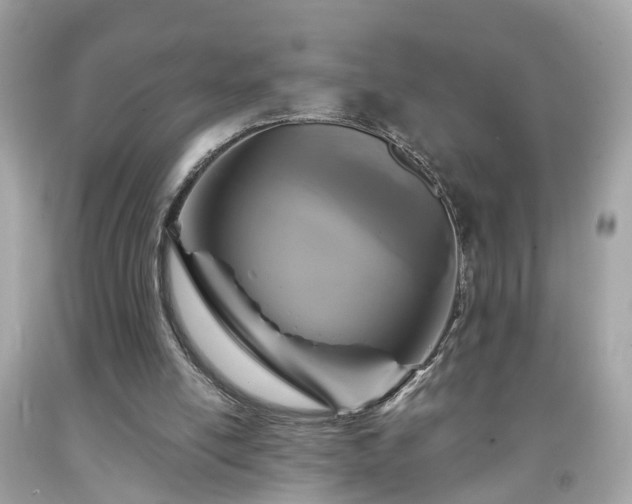 X0000091960054200709131235