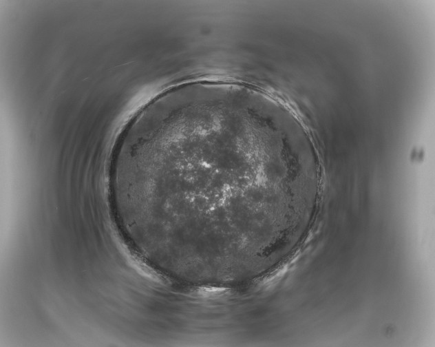 X0000091960055200709131235