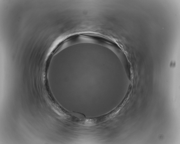 X0000091960056200709131235