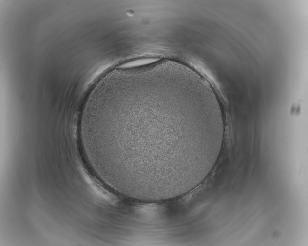 X0000091960058200709131235