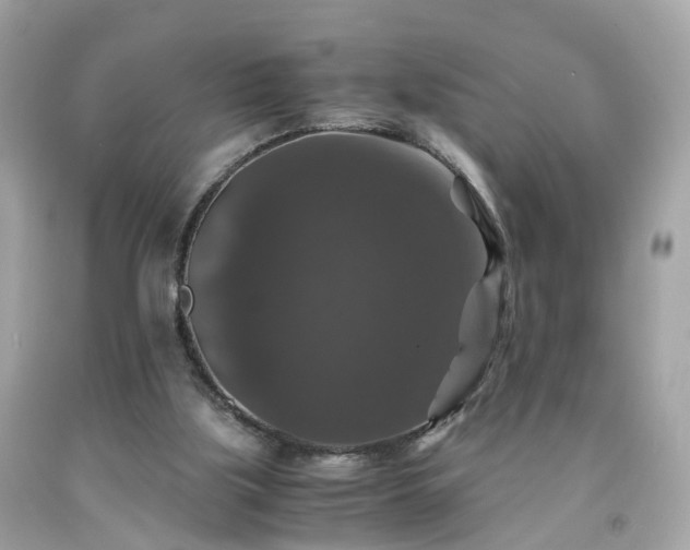 X0000091960059200709131235