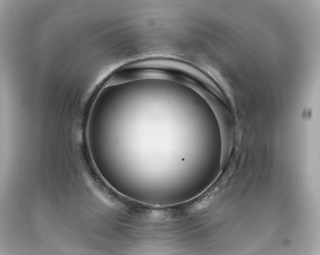 X0000091960060200709131235