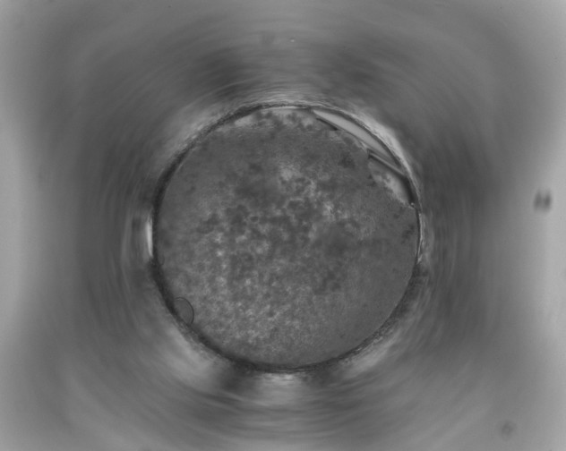 X0000091960061200709131235