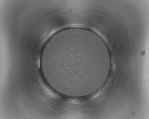 X0000091960062200709131235