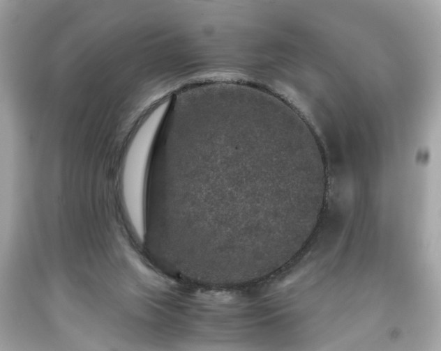 X0000091960063200709131235