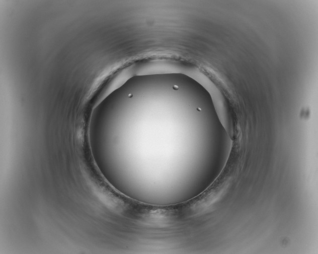 X0000091960064200709131235