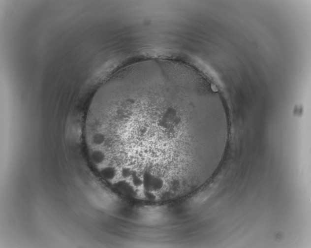 X0000091960065200709131235