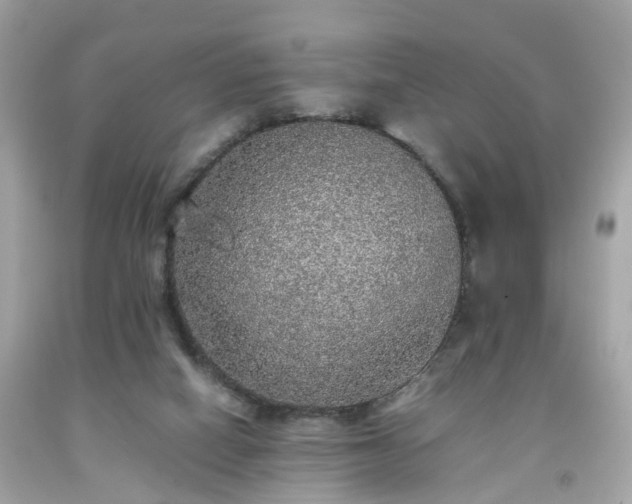 X0000091960066200709131235