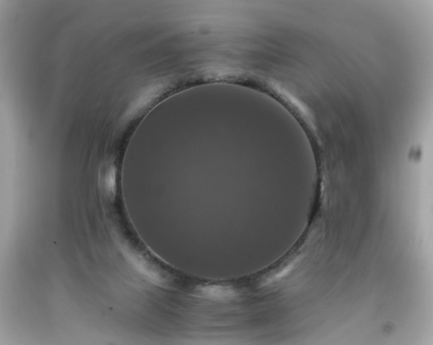 X0000091960067200709131235