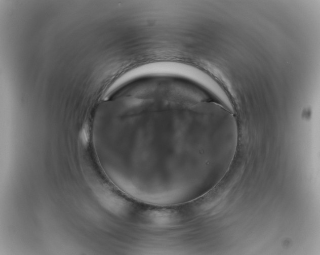 X0000091960069200709131235