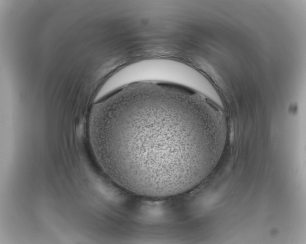 X0000091960071200709131235