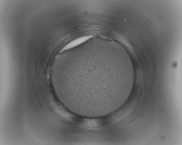 X0000091960073200709131235