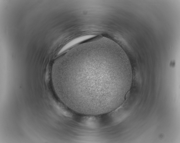 X0000091960074200709131235