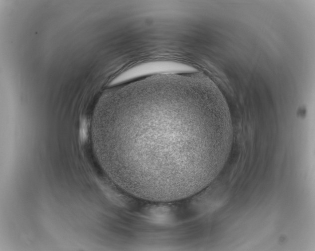 X0000091960075200709131235