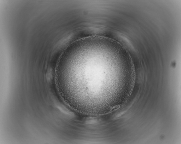 X0000091960077200709131235